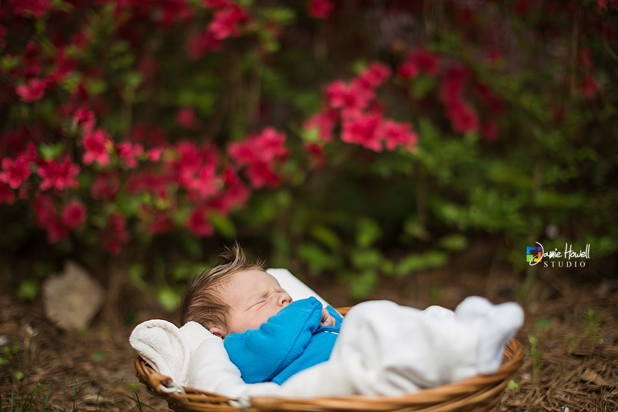 Atlanta newborn photographer (6)